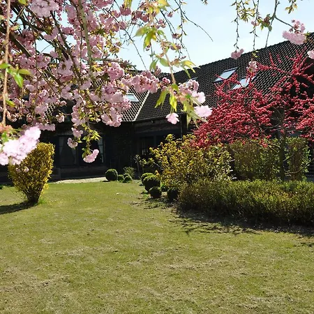 Nocleg ze śniadaniem B&B Villa Hestia 4*