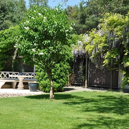 Nocleg ze śniadaniem B&B Villa Hestia Bekkevoort
